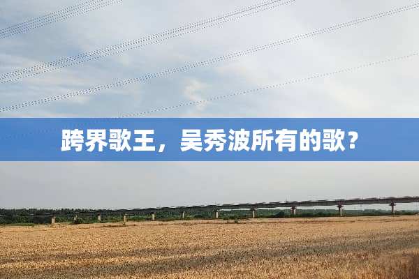 跨界歌王，吴秀波所有的歌？