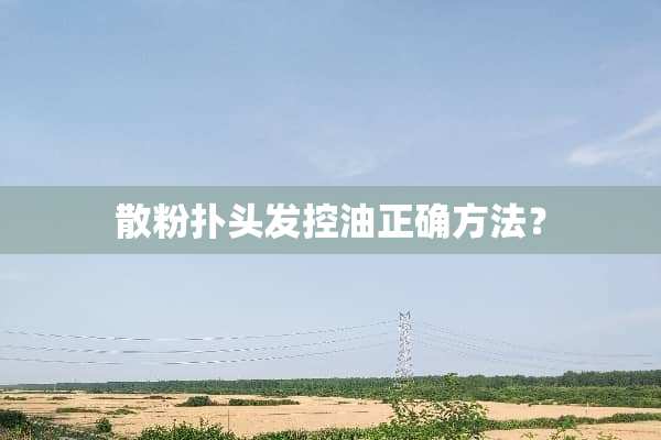 散粉扑头发控油正确方法？