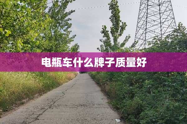 电瓶车什么牌子质量好