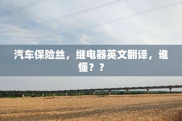汽车保险丝，继电器英文翻译，谁懂？？
