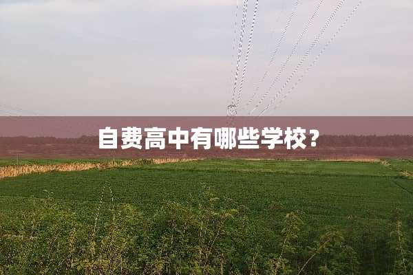 自费高中有哪些学校？