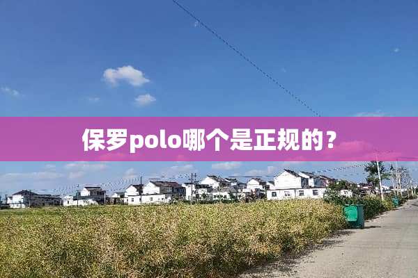 保罗polo哪个是正规的？