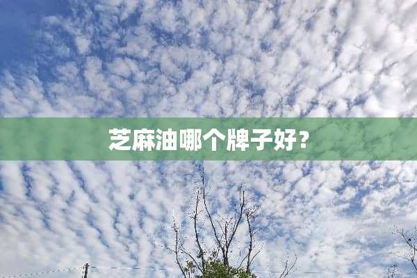 芝麻油哪个牌子好？