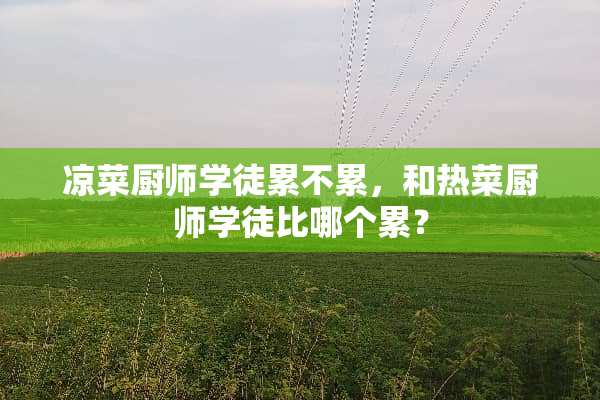 凉菜厨师学徒累不累，和热菜厨师学徒比哪个累？