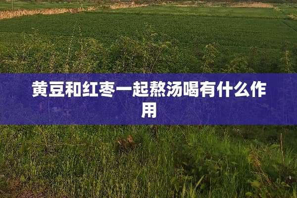 黄豆和红枣一起熬汤喝有什么作用