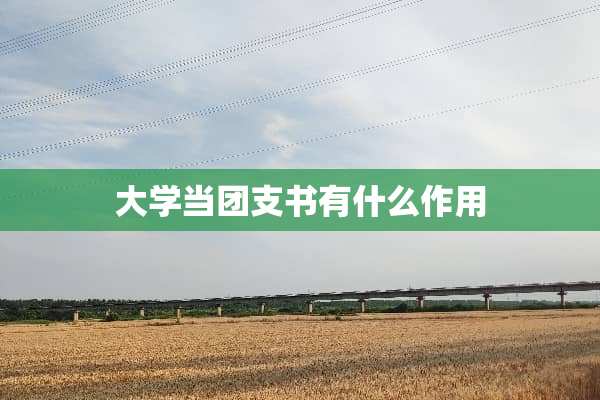 大学当团支书有什么作用