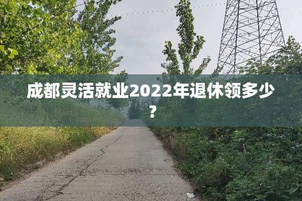 成都灵活就业2022年退休领多少？