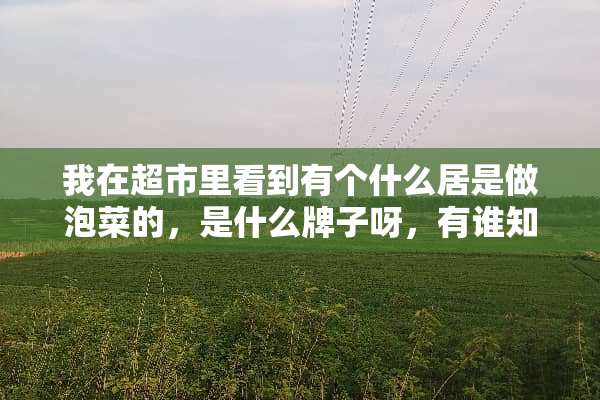 我在超市里看到有个什么居是做泡菜的，是什么牌子呀，有谁知道的么？