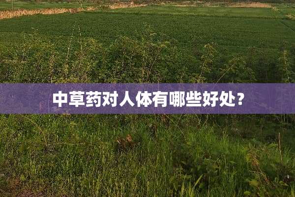中草药对人体有哪些好处？