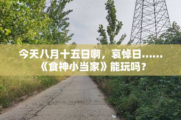 今天八月十五日啊，哀悼日……《食神小当家》能玩吗？