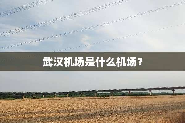 武汉机场是什么机场？