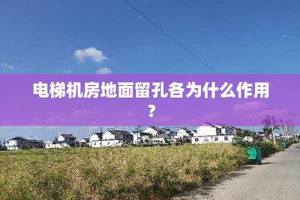 电梯机房地面留孔各为什么作用？