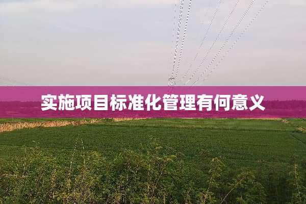 实施项目标准化管理有何意义