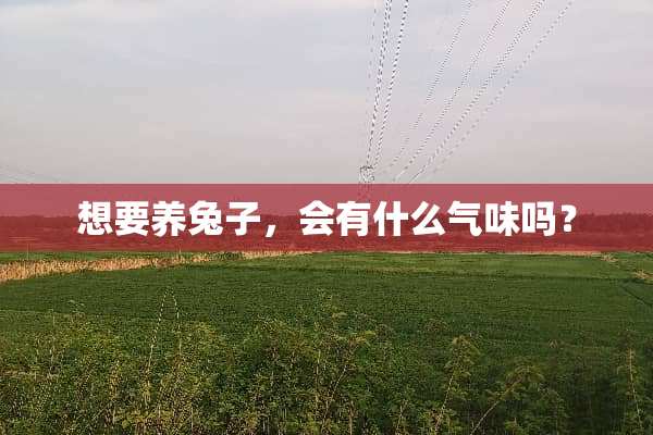 想要养兔子，会有什么气味吗？