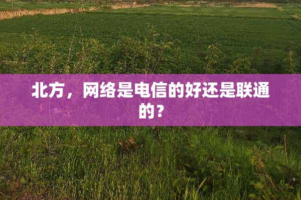 北方，网络是电信的好还是联通的？