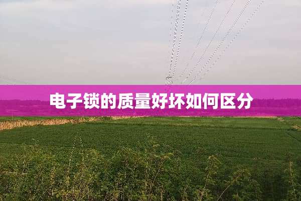 电子锁的质量好坏如何区分