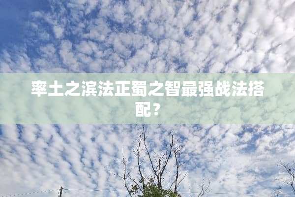 率土之滨**蜀之智最强战法搭配？