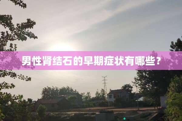 男性肾结石的早期症状有哪些？