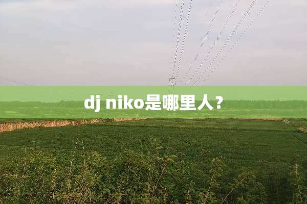 dj niko是哪里人？