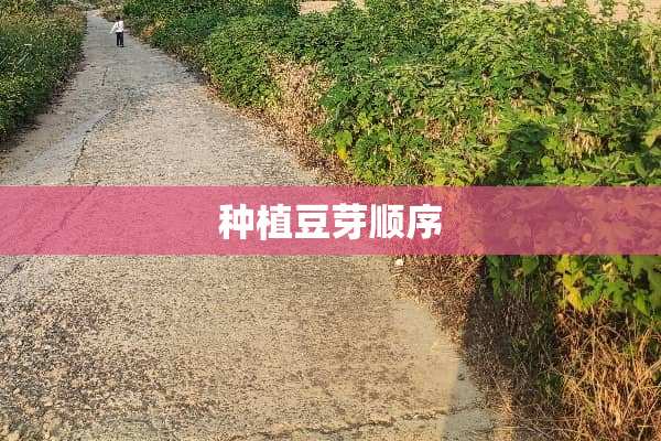 种植豆芽顺序