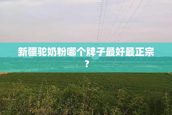 新疆驼奶粉哪个牌子最好最正宗？