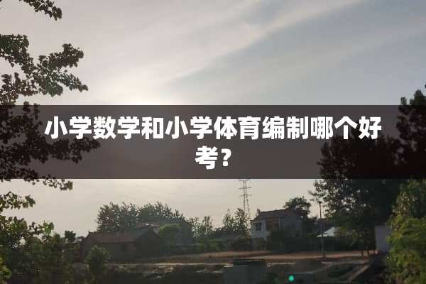 小学数学和小学体育编制哪个好考？