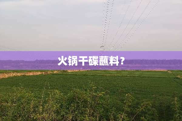 火锅干碟蘸料？