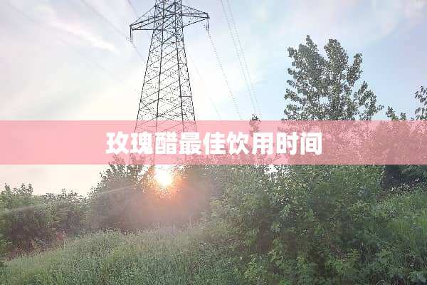 玫瑰醋最佳饮用时间