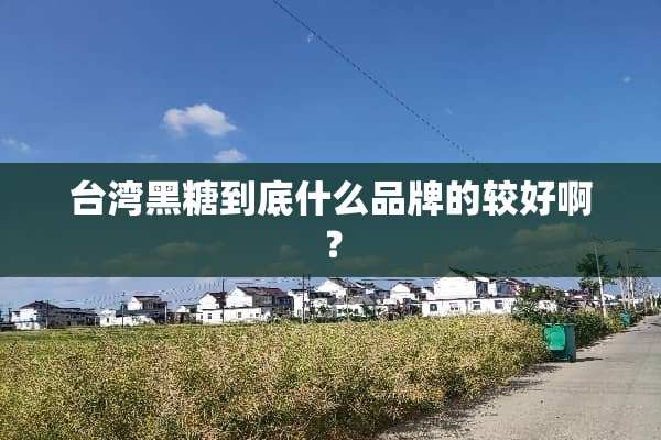 台湾黑糖到底什么品牌的较好啊？