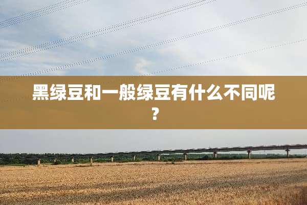 黑绿豆和一般绿豆有什么不同呢？