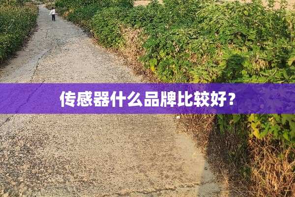 传感器什么品牌比较好？