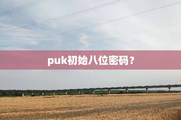 puk初始八位密码？