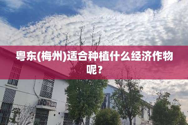 粤东(梅州)适合种植什么经济作物呢？