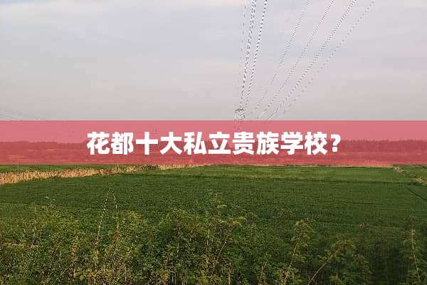 花都十大私立贵族学校？