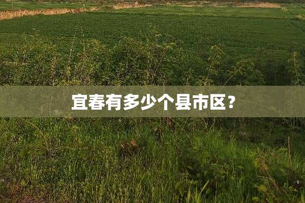 宜春有多少个县市区？