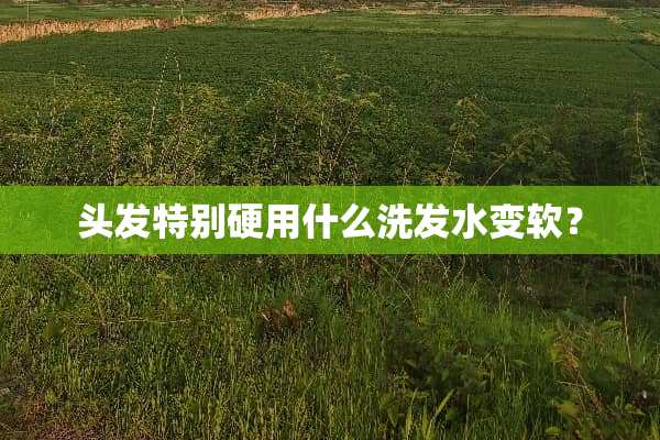 头发特别硬用什么洗发水变软？
