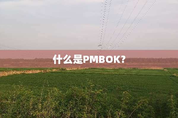 什么是PMBOK？
