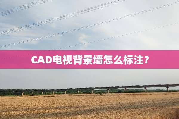 CAD电视背景墙怎么标注？