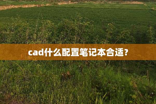 cad什么配置笔记本合适？