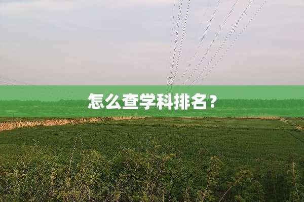 怎么查学科排名？