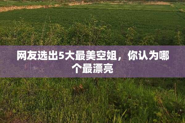 网友选出5大最美空姐，你认为哪个最漂亮