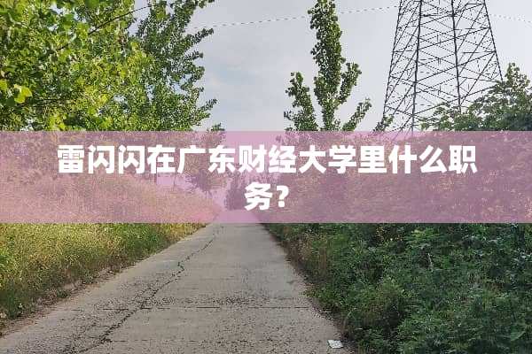 雷闪闪在广东财经大学里什么职务？