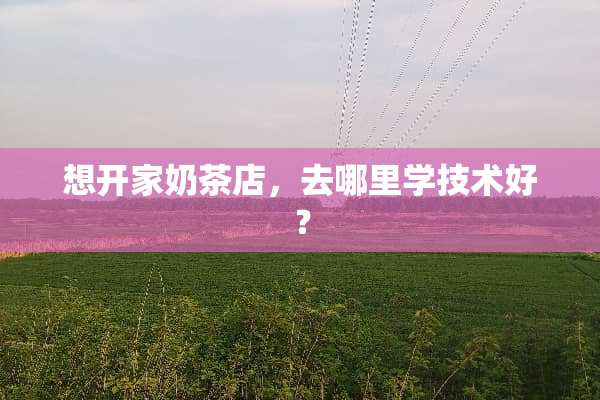 想开家奶茶店，去哪里学技术好？