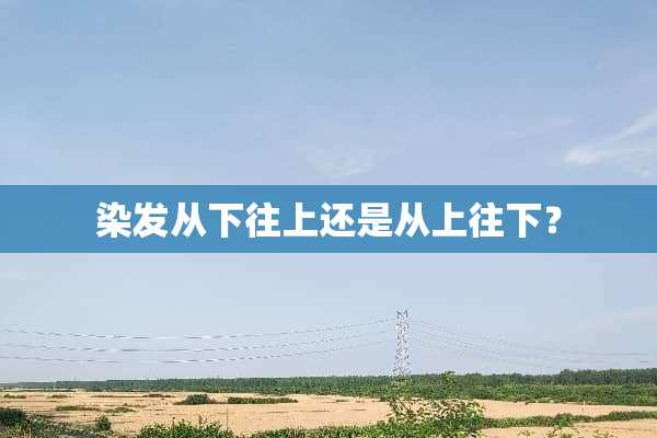 染发从下往上还是从上往下？