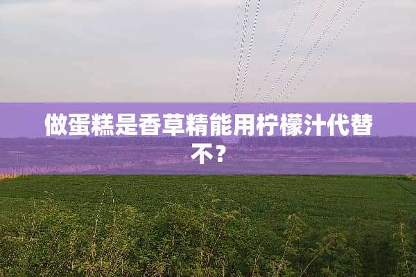 做蛋糕是香草精能用柠檬汁代替不？
