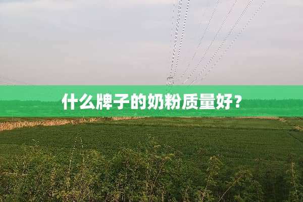 什么牌子的奶粉质量好？