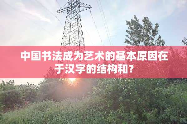 中国书法成为艺术的基本原因在于汉字的结构和？