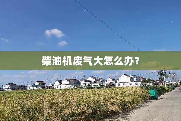 柴油机废气大怎么办？