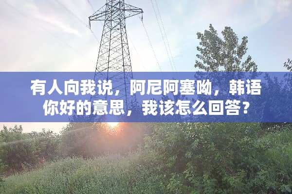 有人向我说，阿尼阿塞呦，韩语你好的意思，我该怎么回答？