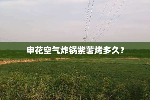 申花空气炸锅紫薯烤多久？